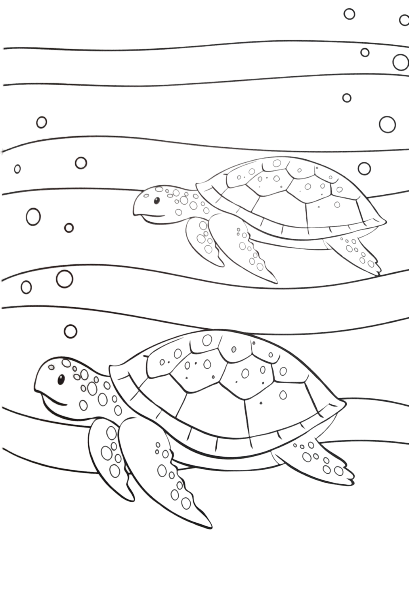 sea-animal4